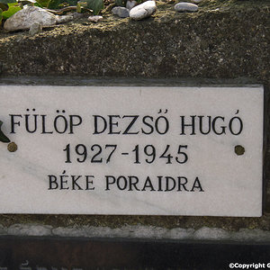 Fülöp Dezso Hugo