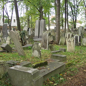 Währinger Friedhof 61