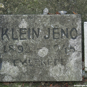 Klein Jenö