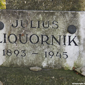 Liquornik Julius