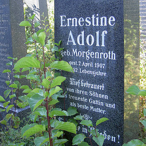 Adolf Ernestine