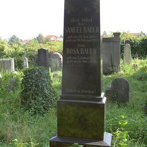 Bauer Samuel