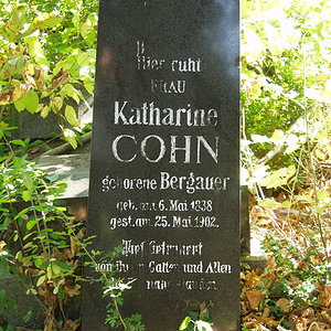 Cohn Katharine
