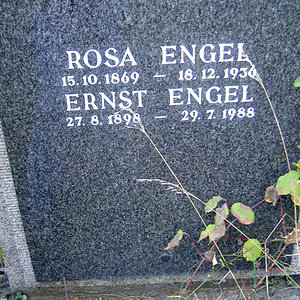 Engel Rosa