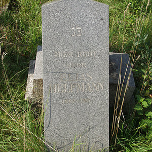 Helfmann Elias