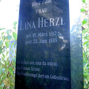 Herzl Lina