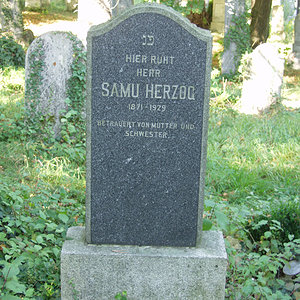 Herzog Samu