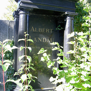 Landau Albert