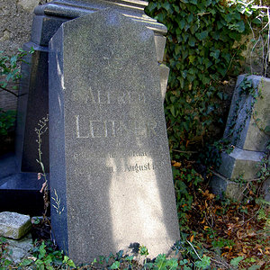 Leitner Alfred