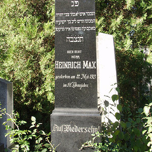 Max Heinrich