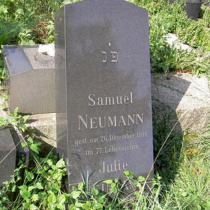 Neumann Julie