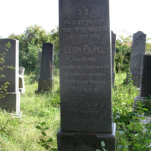 Pilpel Leon