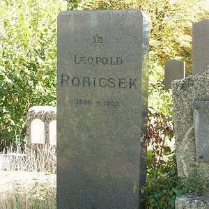 Robicsek Leopold