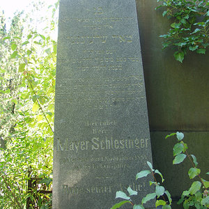 Schlesinger Mayer