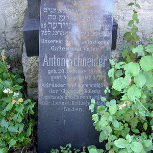 Schneider Anton