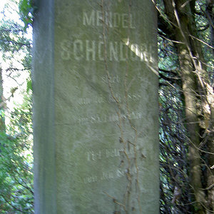 Schöndorf Mendel