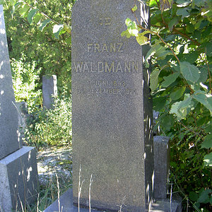Waldmann Franz