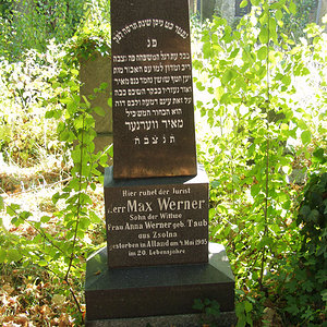 Werner Max