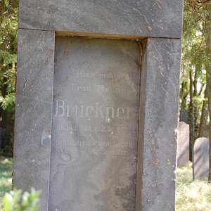 Bruckner Rosa