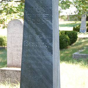 Bruckner Sigmund