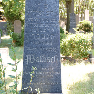 Wallisch Ludwig
