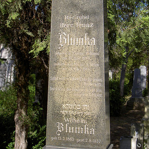 Blumka Wilhelm