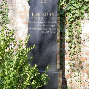 Kohn Ilse