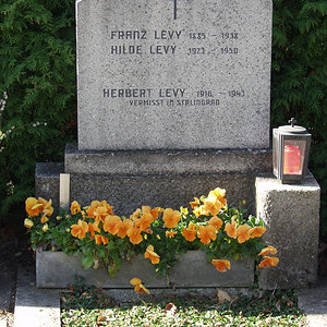 Levy Franz