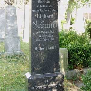 Schmidt Richard