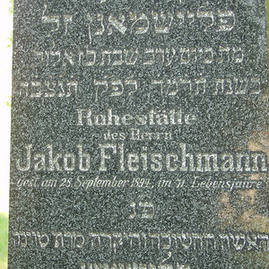 Fleischmann Jakob