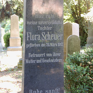 Scheuer Flora