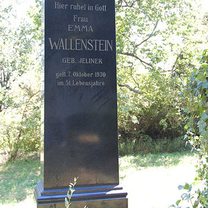 Wallenstein Emma