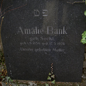 Bank Amalie