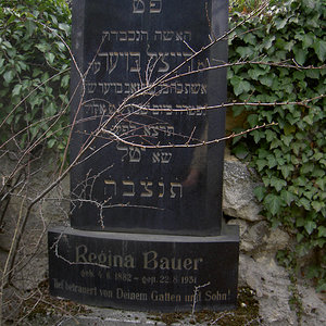 Bauer Regina