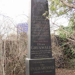 Grünwald Amalia