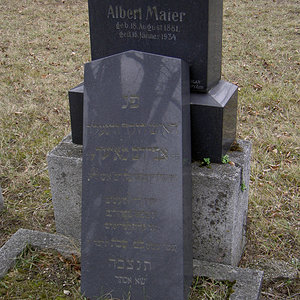 Maier Albert