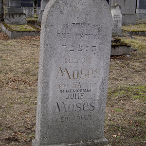 Moses Julie