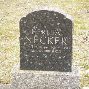 Necker Hertha