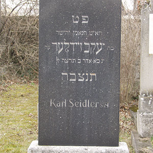 Seidler Karl