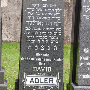 Adler David