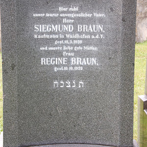 Braun Siegmund