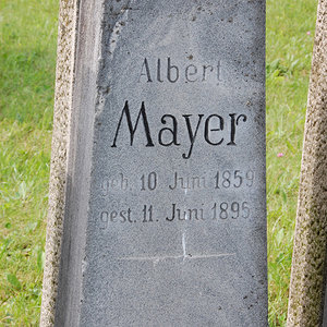 Mayer Albert