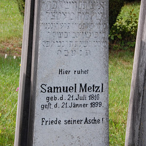 Metzl Samuel