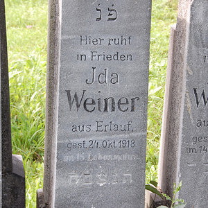 Weiner Ida