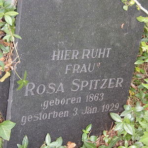 Spitzer Rosa