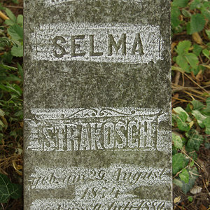 Strakosch Selma