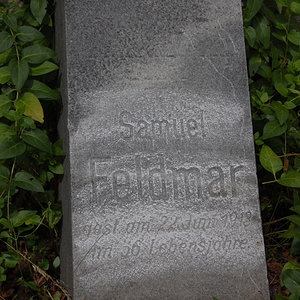Feldmar Samuel
