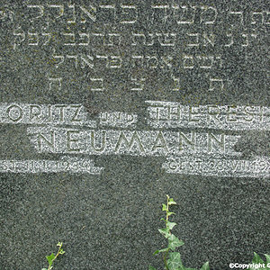 Neumann Theresie