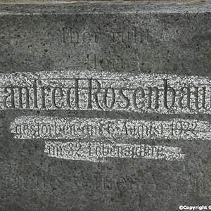Rosenbaum Manfred