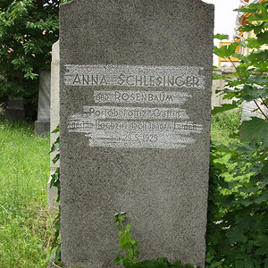 Schlesinger Anna